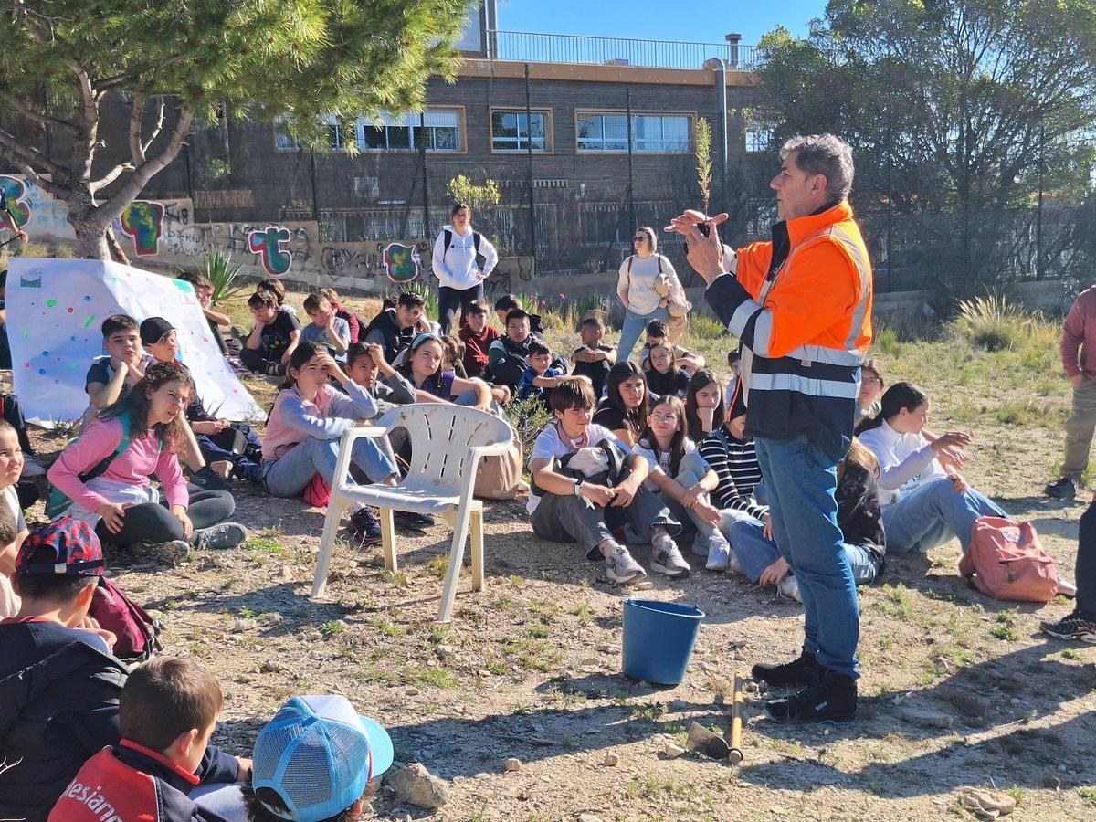 Algunos de los ejemplares plantados por los niños en el monte María Auxiliadora