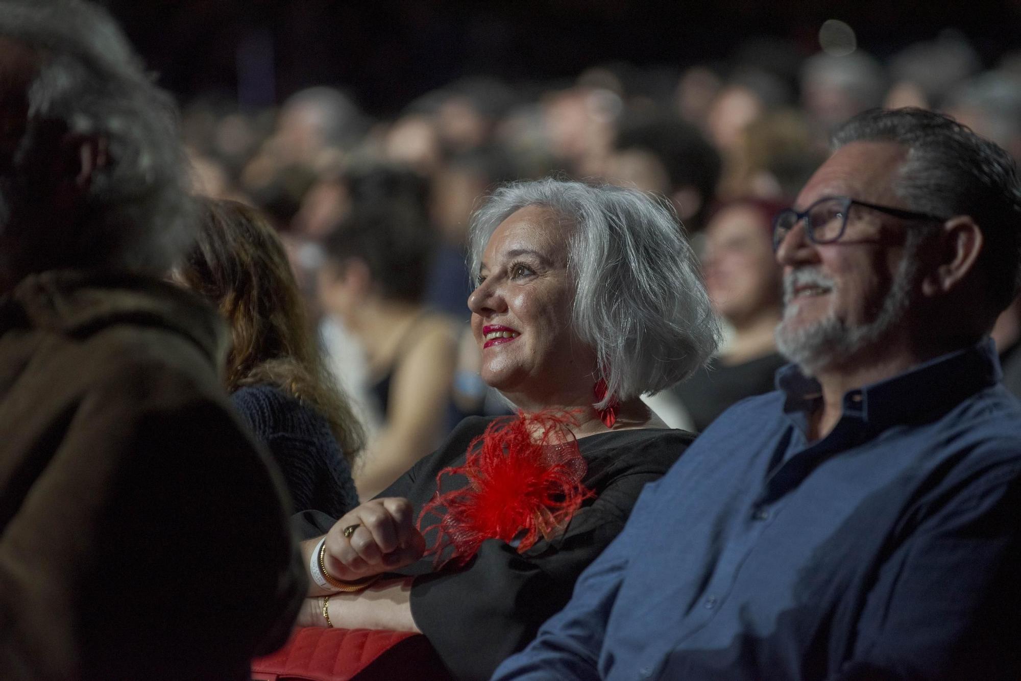 Gala dos premios Mestre Mateo 2024