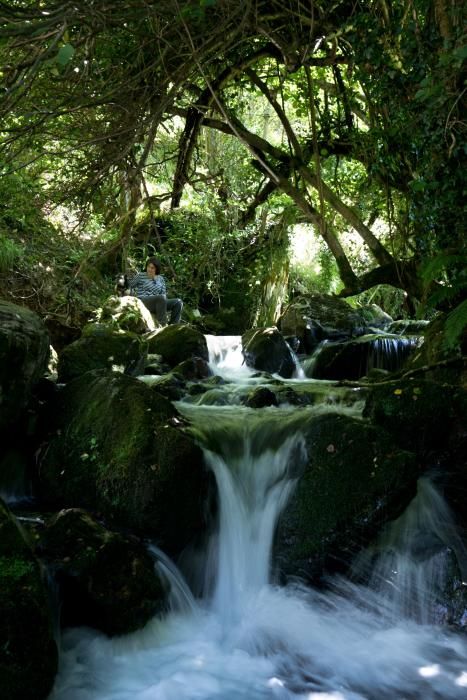 Rutas por Asturias: por las Foces de El Pino