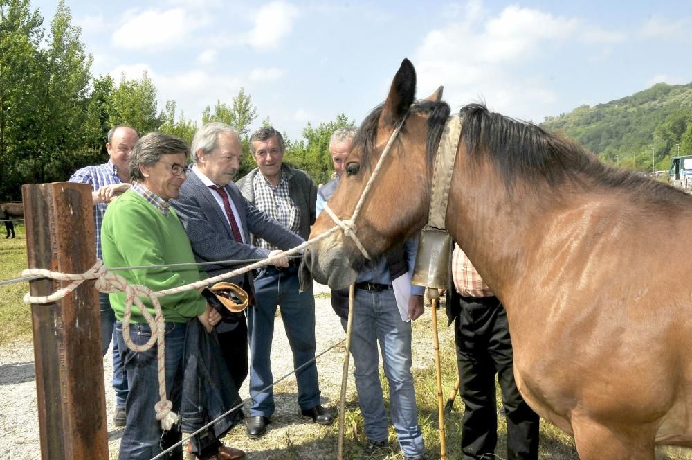 Feria de La Ascensión en Olloniego