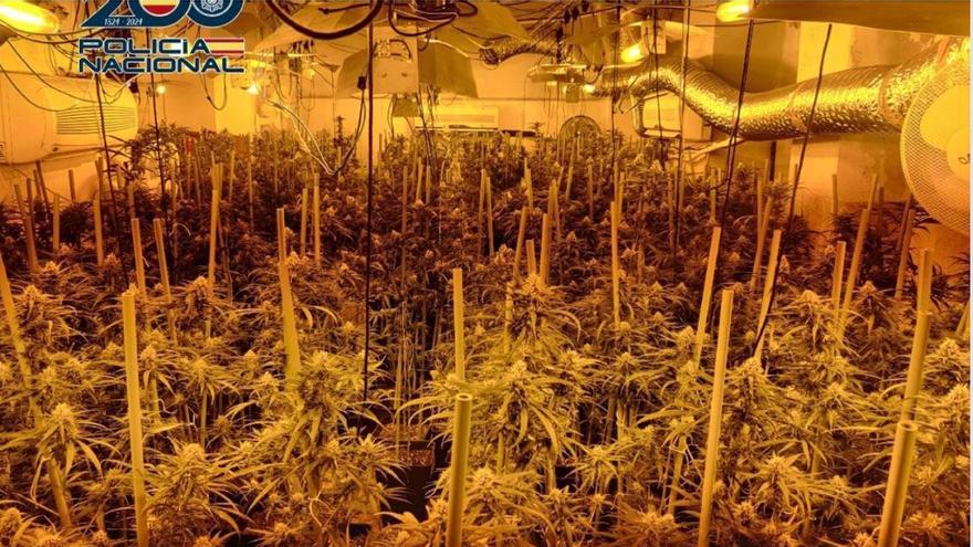 Ruidos, cortes de luz y olores: desmantelados 10 laboratorios de marihuana en un bloque de la Palmilla