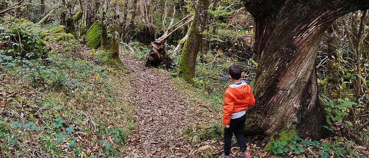 Un niño, en una de las zonas por las que discurrirá el trail “Tierras del Eo”. | T. C.