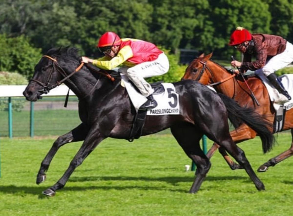 Canalejas "atropella" y gana la carrera 14-5-2026 Prix de Pontarme París Longchamp.