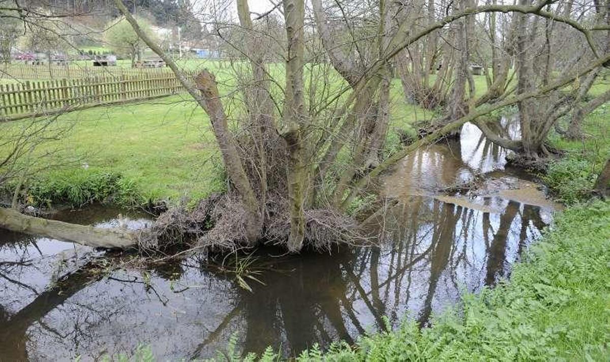 Arteixo proyecta la construcción de un paseo fluvial que enlazará O Seixedo y Vilarrodís