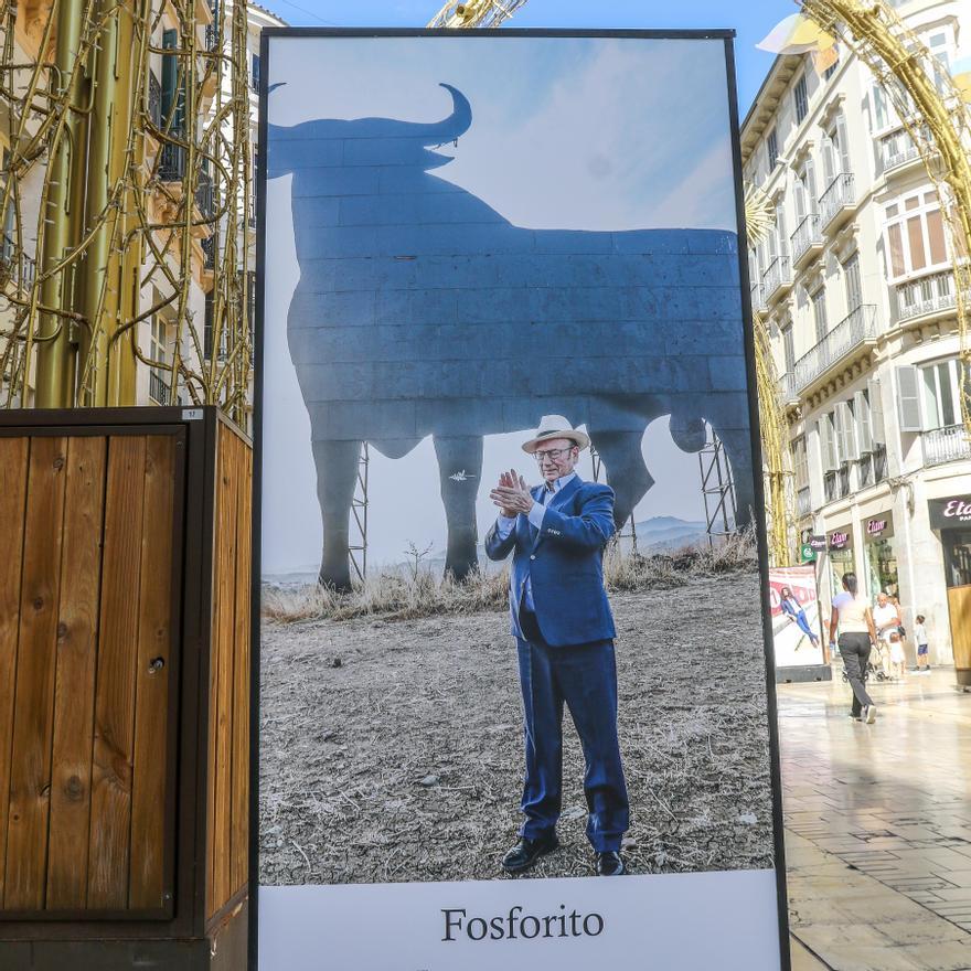 Fotos de la exposición 'Out Flamenco' de la calle Larios