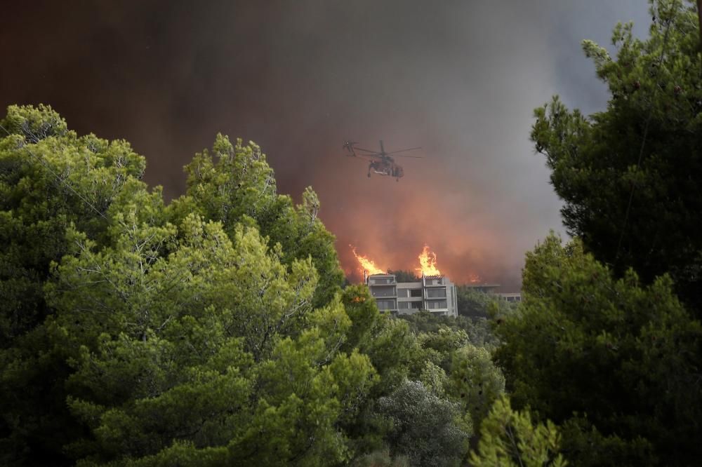 Al menos 50 muertos por incendios en Grecia.