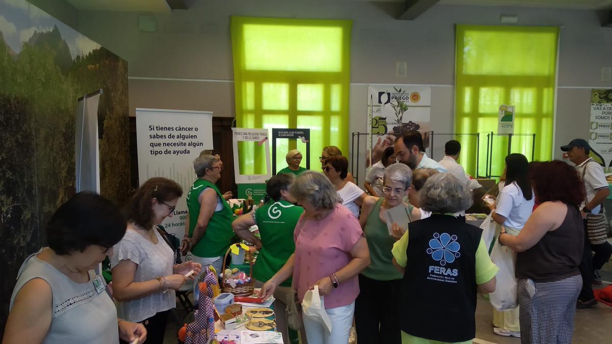 Priego muestra la actividad de su tejido social