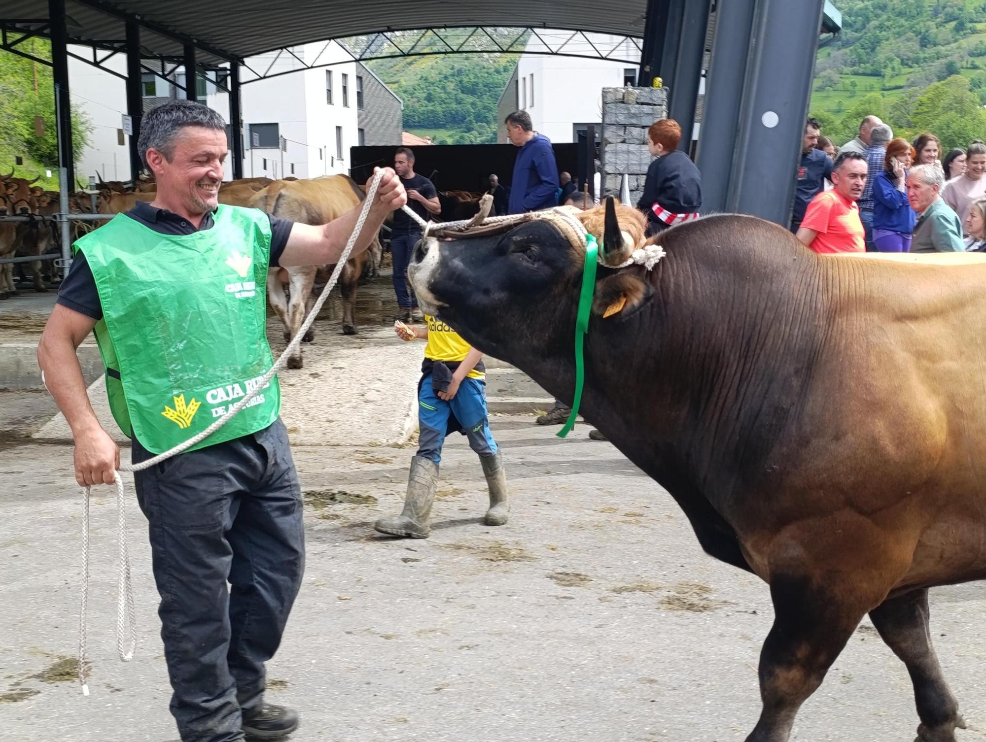 El XXXI Certamen-Exposición de Asturiana de los Valles de Teverga, en imágenes