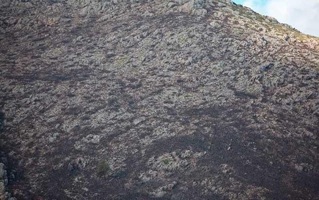 Pollença nach dem Waldbrand