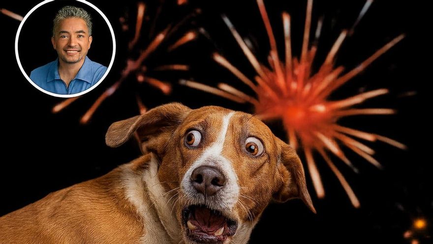 César Millán, &#039;el encantador de perros&#039;, sobre los petardos: &quot;Por instinto de supervivencia...&quot;