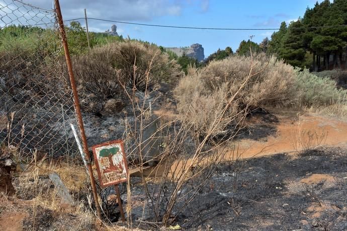 INCENDIO CUMBRE