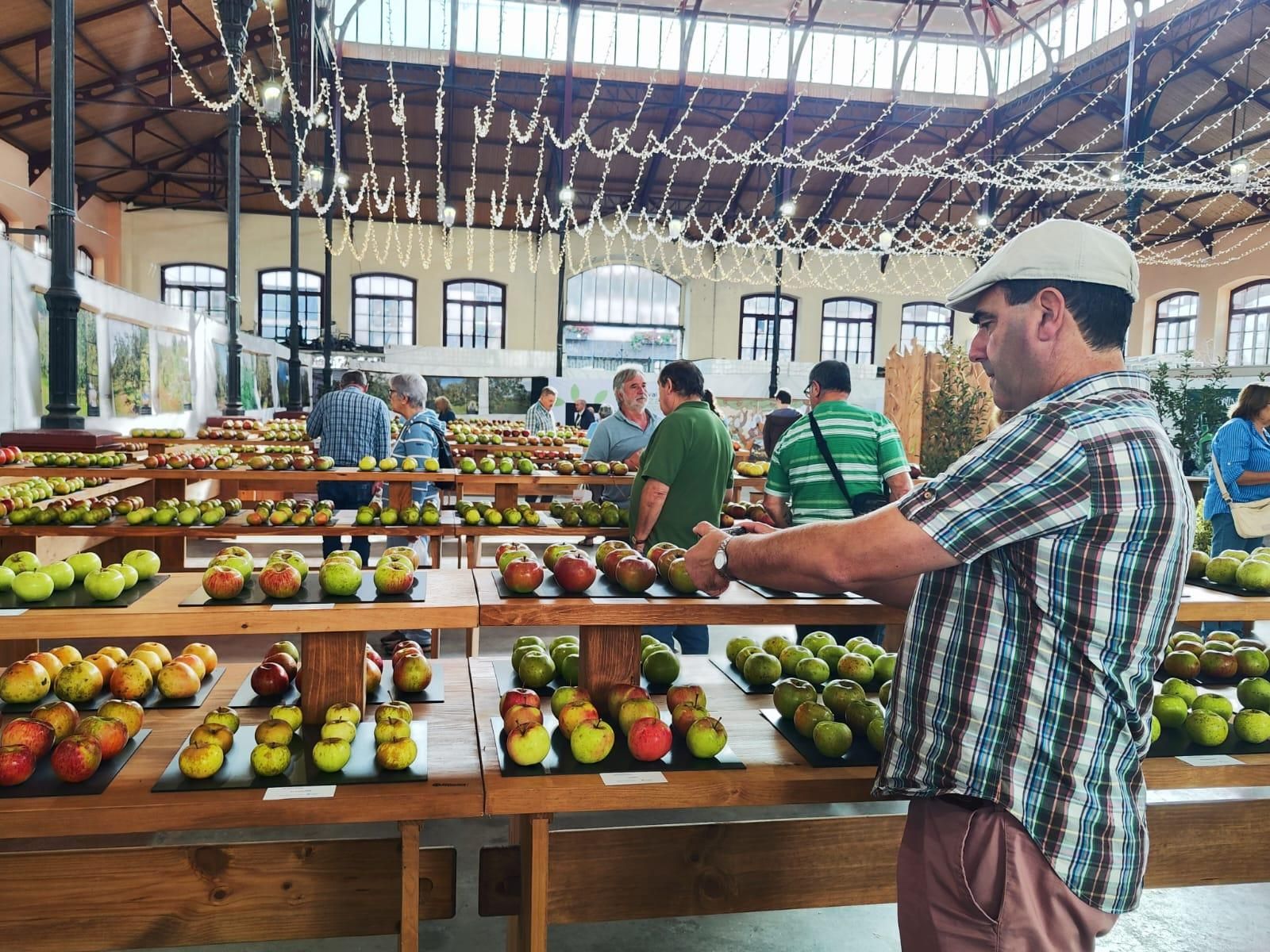 El Festival de la Manzana arranca en Villaviciosa: exposiciones, talleres y actividades infantiles