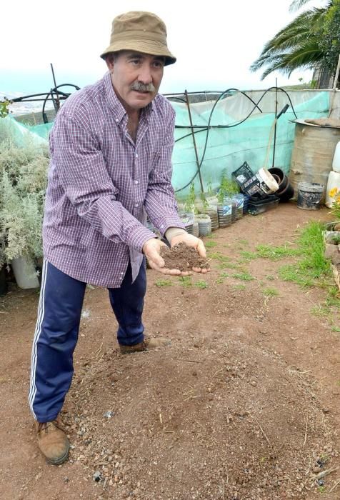 Pepe Guedes, agricultor orgánico