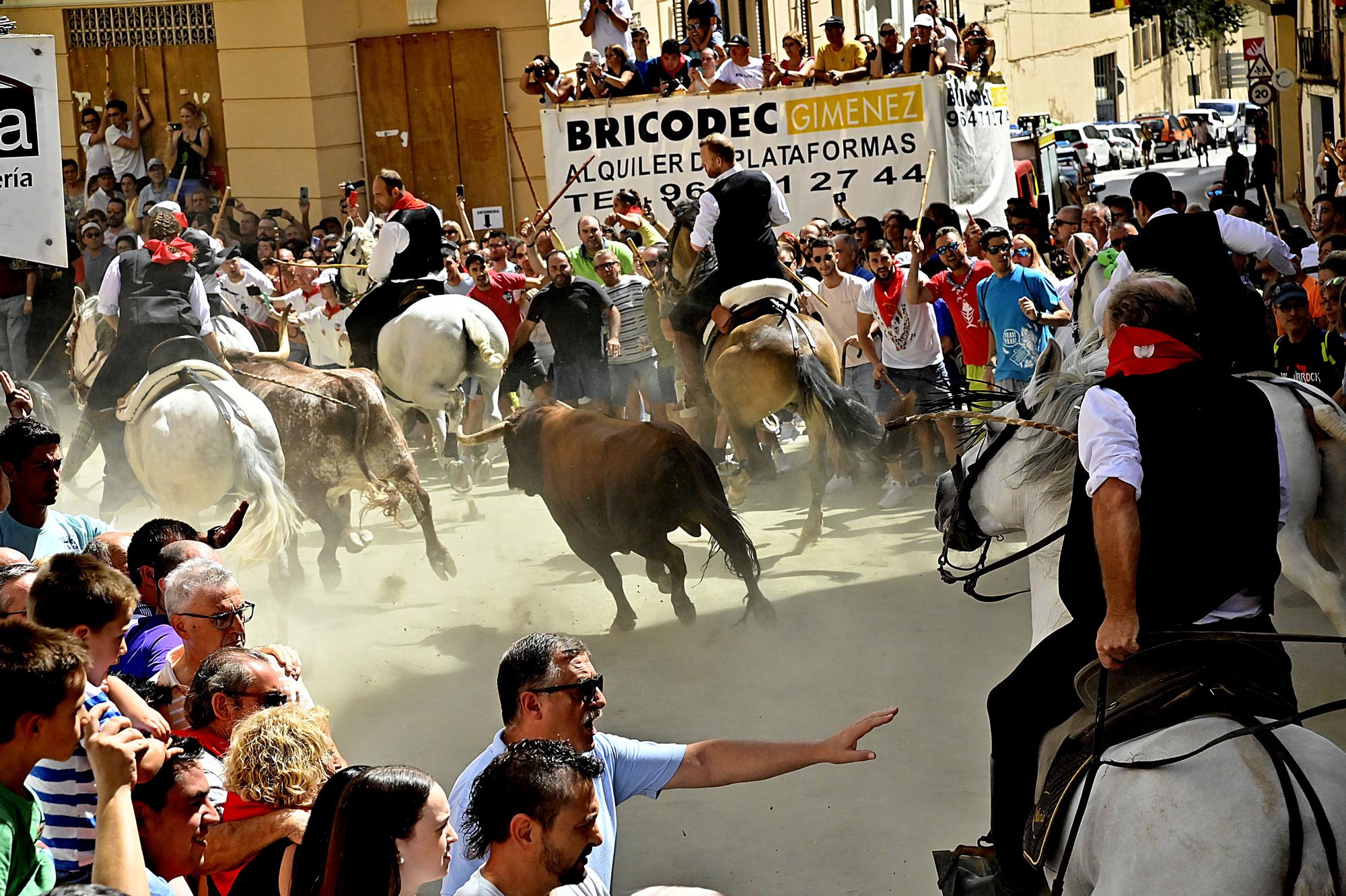 Las mejores fotos de la tercera Entrada de Toros y Caballos de Segorbe