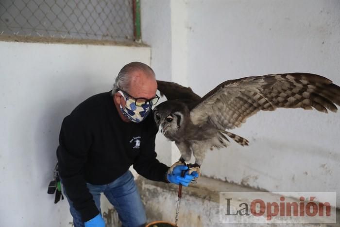 Las Águilas del Sol de Puerto Lumbreras piden ayud