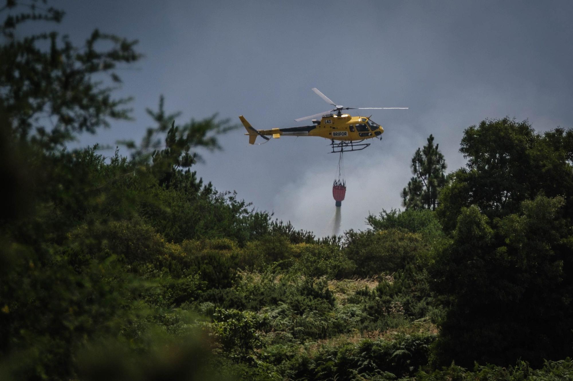 Incendio forestal en Tenerife