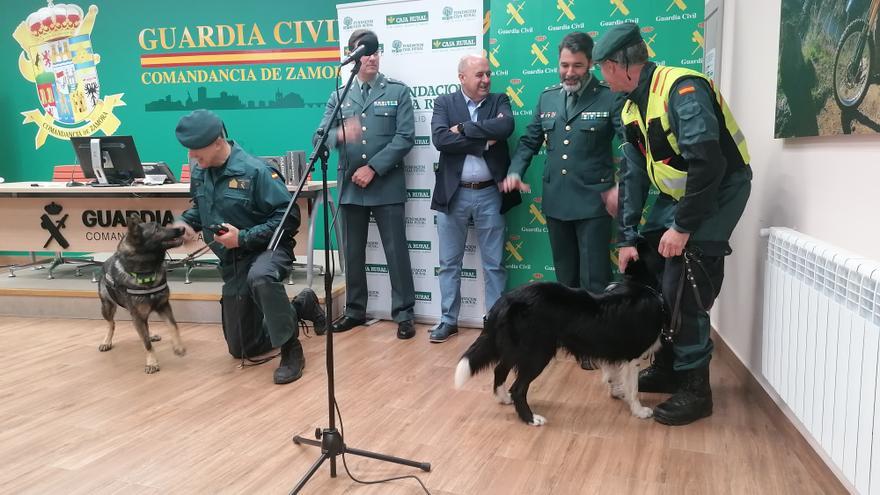 Collares GPS para perros para facilitar a la Guardia Civil la búsqueda de desaparecidos en Zamora