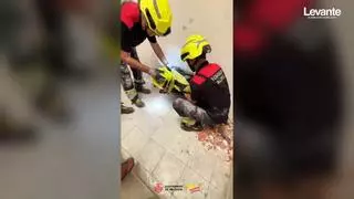 Un butrón para rescatar a un gato emparedado entre dos tabiques en València