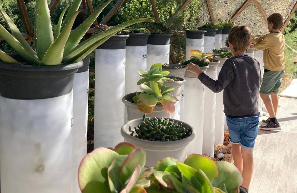 El primer piano vegetal del mundo, que produce sonido al entrar en contacto con las personas.