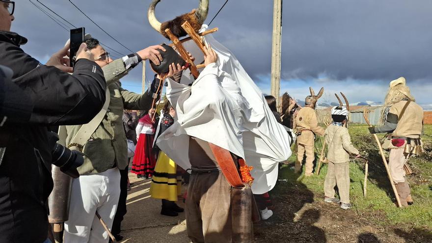 GALERÍA | Morales de Valverde y su Toro de Carnaval