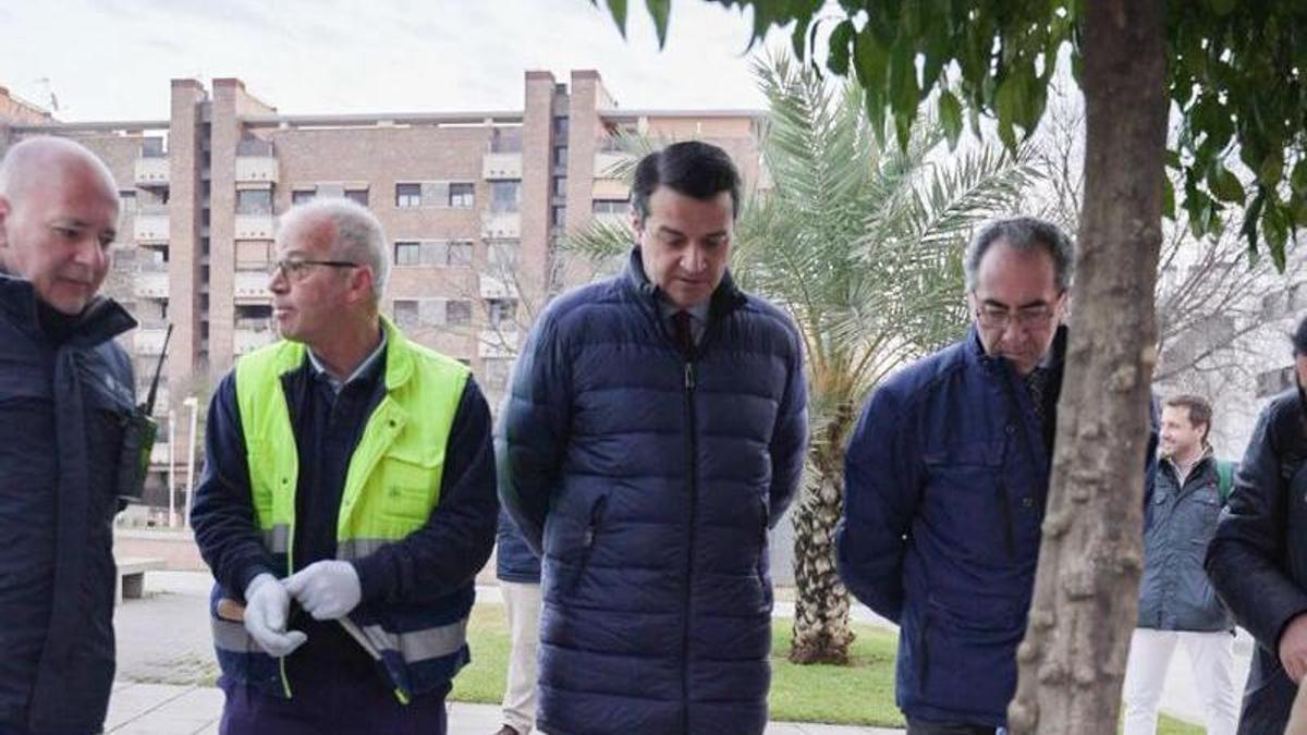 El alcalde, José María Bellido, y el delegado de Infraestructuras, Antonio Álvarez, observan el trabajo en los alcorques.