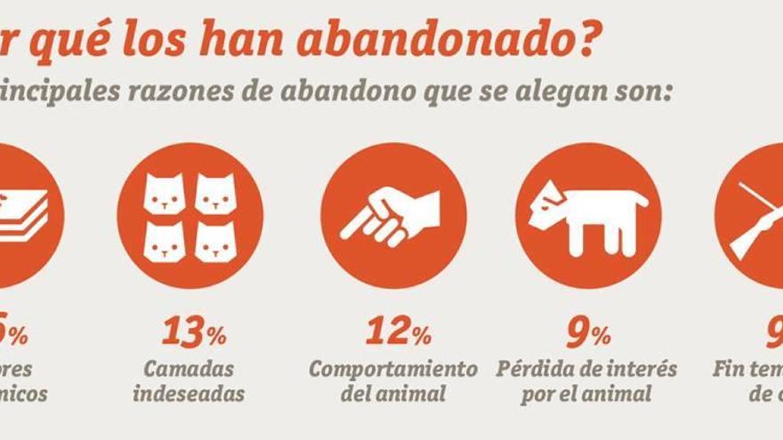 Los abandonos y las escasas adopciones provocan que el CATAD esté casi lleno