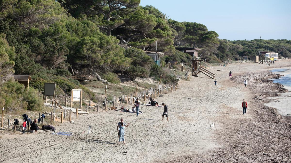 Ses salines en invierno.