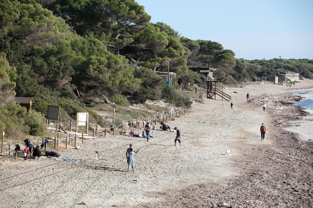 La playa de ses salines en invierno.