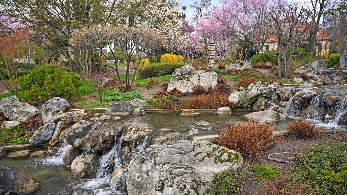 Setagaya, el barrio menos concurrido de Tokio, alberga un parque único: el valle Todoroki.