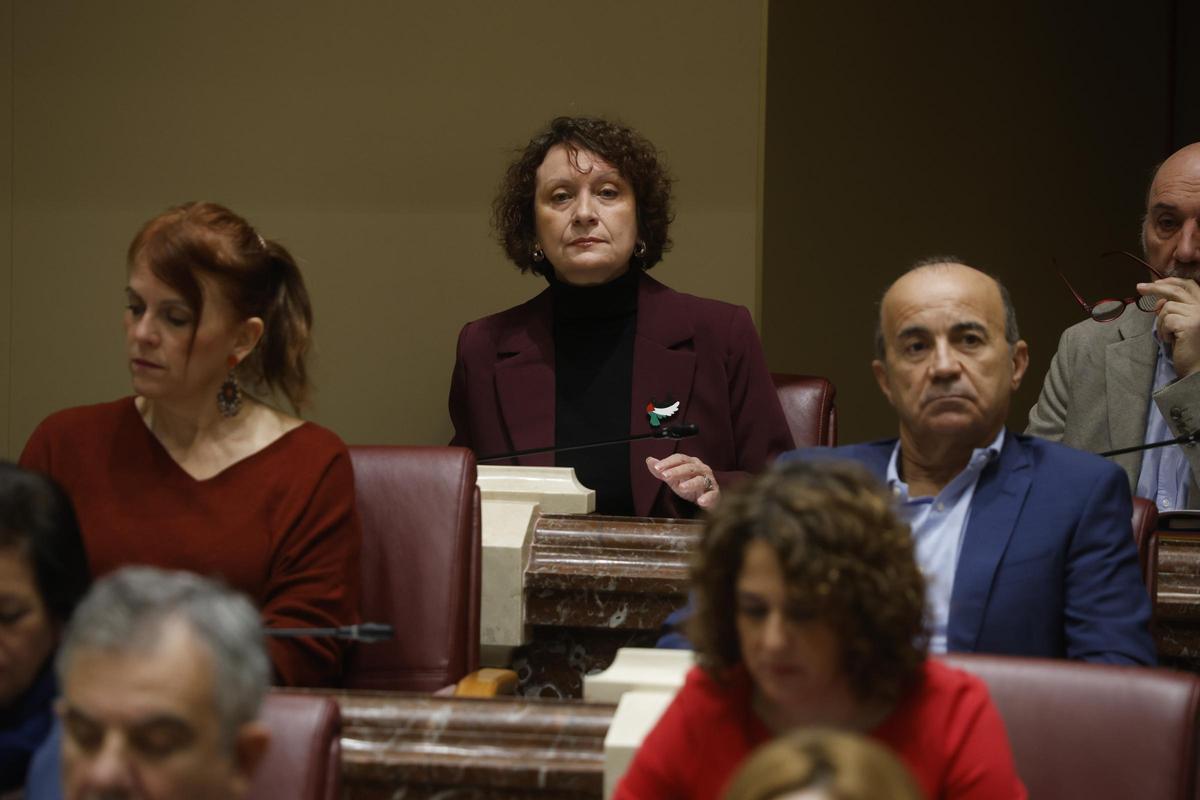 La portavoz de Podemos, María Marín, en la Asamblea Regional este jueves.