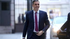 ‘Zorra’ i el que tu diguis, Pedro Sánchez