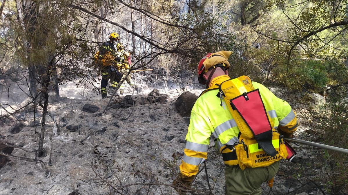 Declarado un incendio forestal en el Montgó