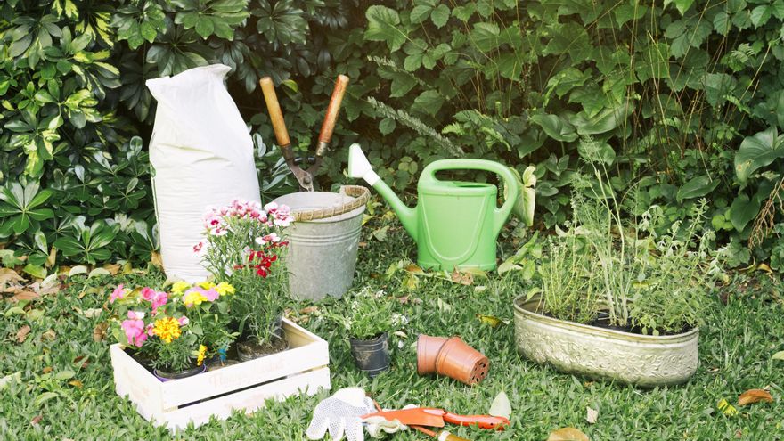 Com tenir un jardí verd, bonic i sostenible aquest estiu