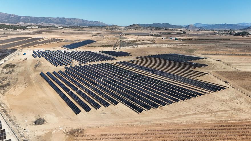 Awergy finaliza una planta solar de 5 MW en Pinoso y prevé otros 50 en la Comunidad
