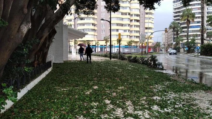 Daños de la granizada en el Parque