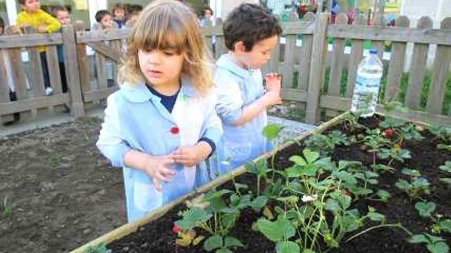 Dos pequeños cuidando las fresas de la huerta.