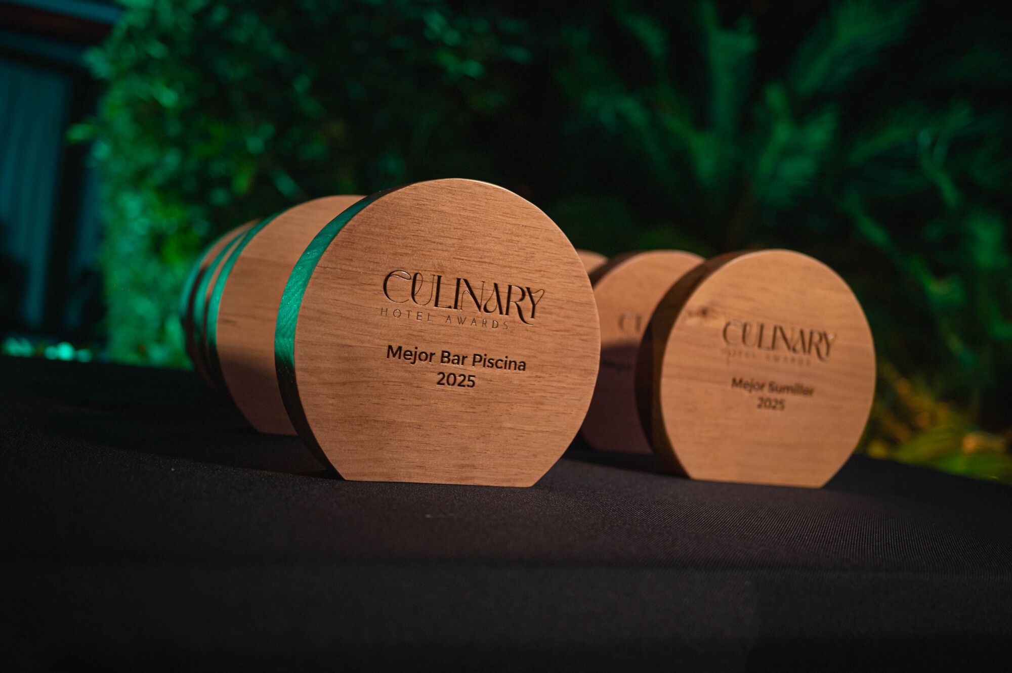 Photocoll * Comienza a las 19:30 horas Gala * Comienza a las 20:00 horas * Intervenciones de Javier Moll - Manuel Domínguez...  | 13/10/2025 | Fotógrafo: Rafael Arturo Jiménez Rivero