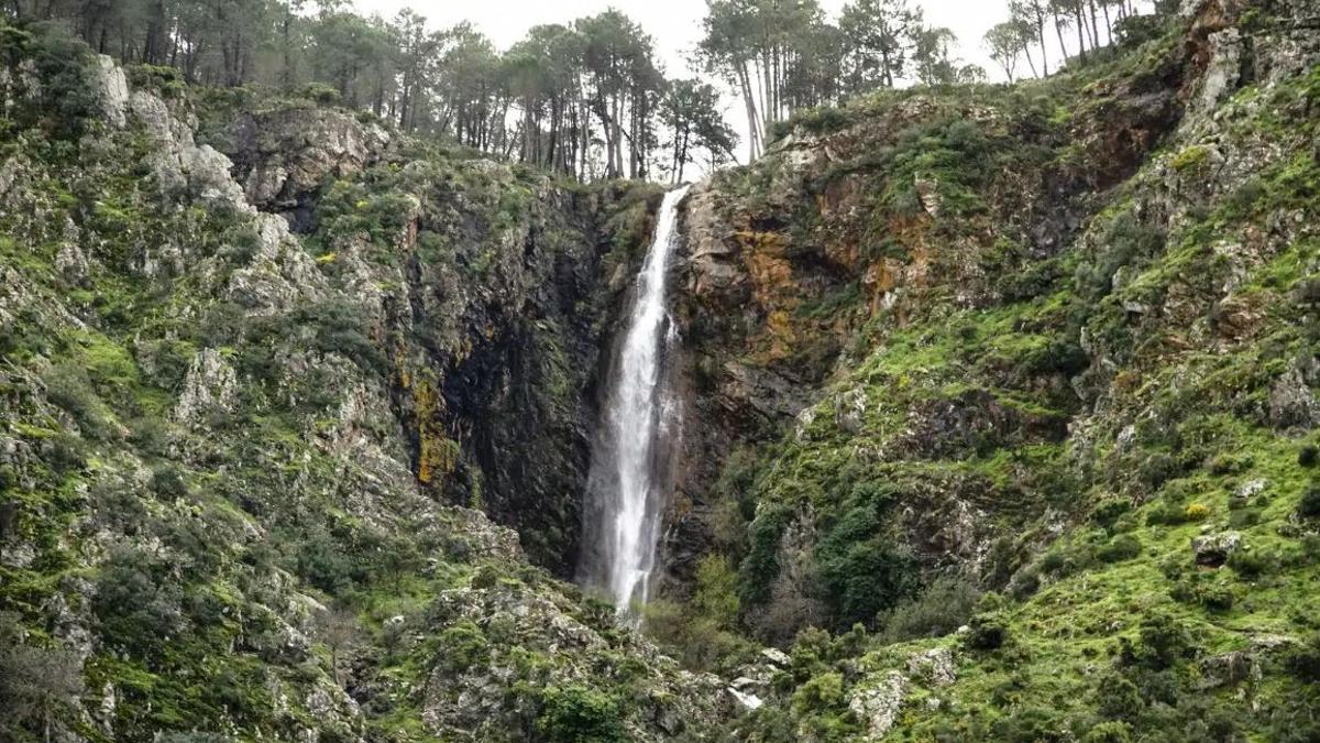 Esta es la cascada más alta de toda Málaga, con más de 50 metros de salto al vacío.