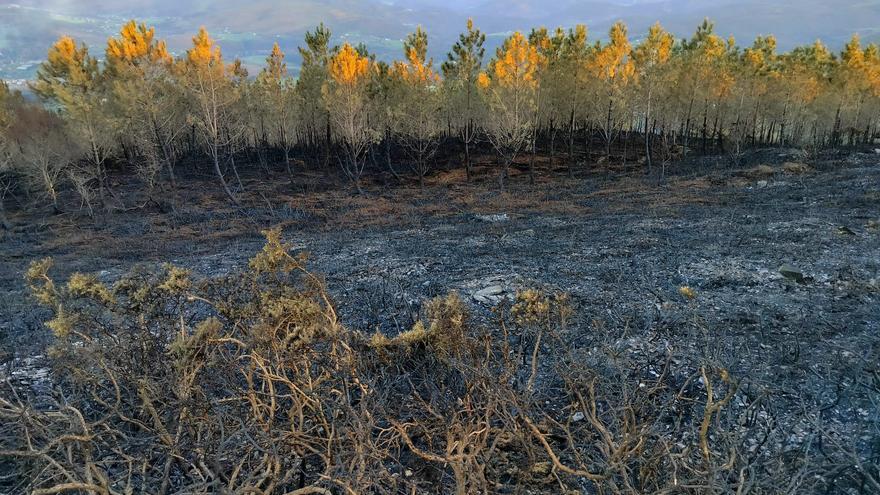 El estado del pico Jarrio, con 37 hectáreas quemadas, no afecta al proyecto BTT