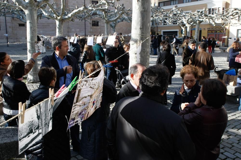 Iniciativa "Secado" en la plaza de Viriato