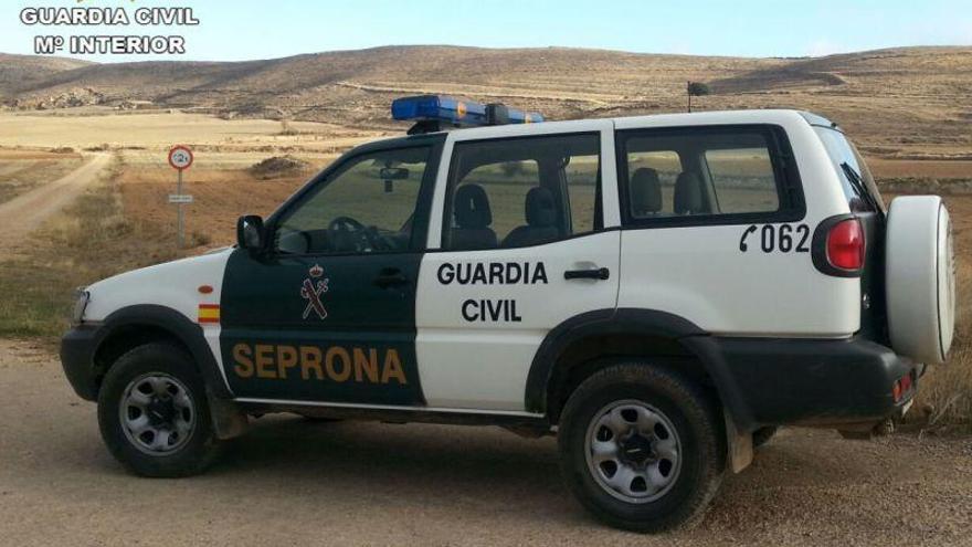 Imputado por el presunto envenenamiento de cangrejos americanos en un arroyo de la Comarca del Bajo Martín