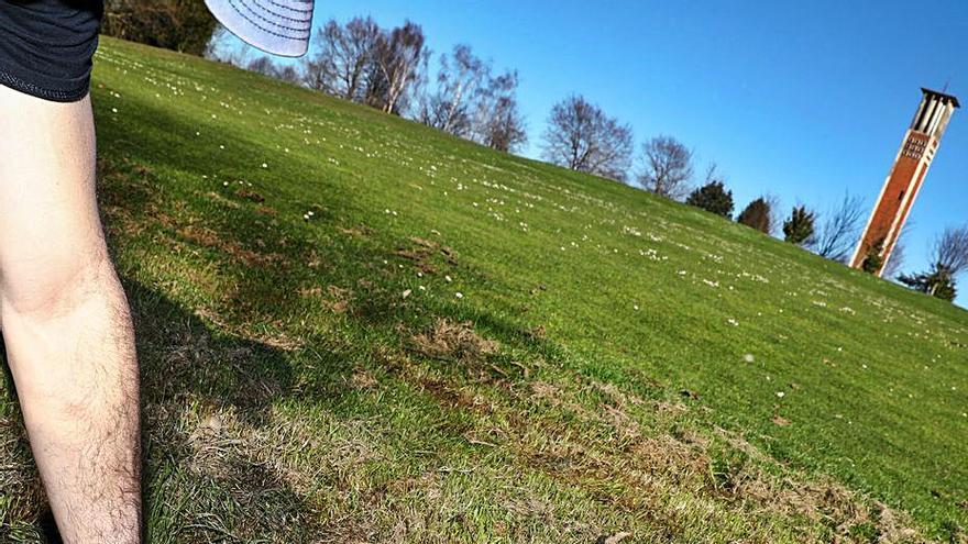 Un usuario recoge una pelota de golf en una parte con la hierba demasiado alta en el campo de golf de La Llorea. | Juan Plaza