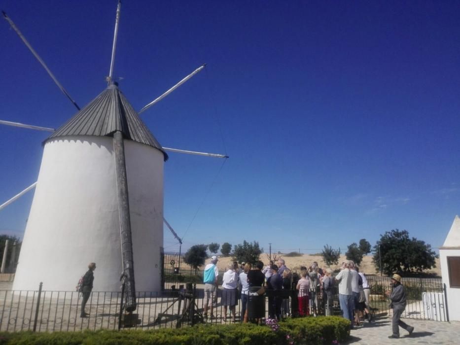 Fiesta de los Molinos en Torre Pacheco