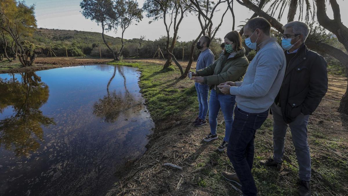 Visita ayer por parte de representantes del Ayuntamiento de Elche y de Aigües d’Elx a la nueva charca en el Clot de Galvany. | ANTONIO AMORÓS