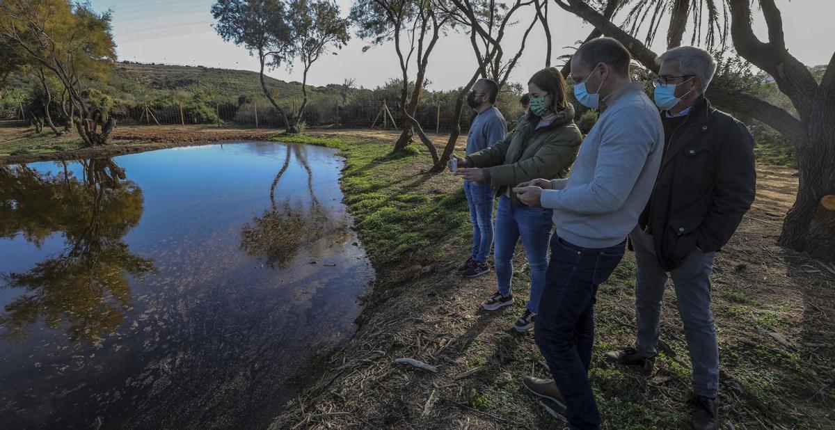 Visita ayer por parte de representantes del Ayuntamiento de Elche y de Aigües d’Elx a la nueva charca en el Clot de Galvany. | ANTONIO AMORÓS