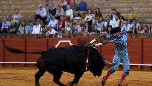 Spanish banderillero Antonio Osuna is tackled by a bull in the Andalusian capital of Seville, southern Spain