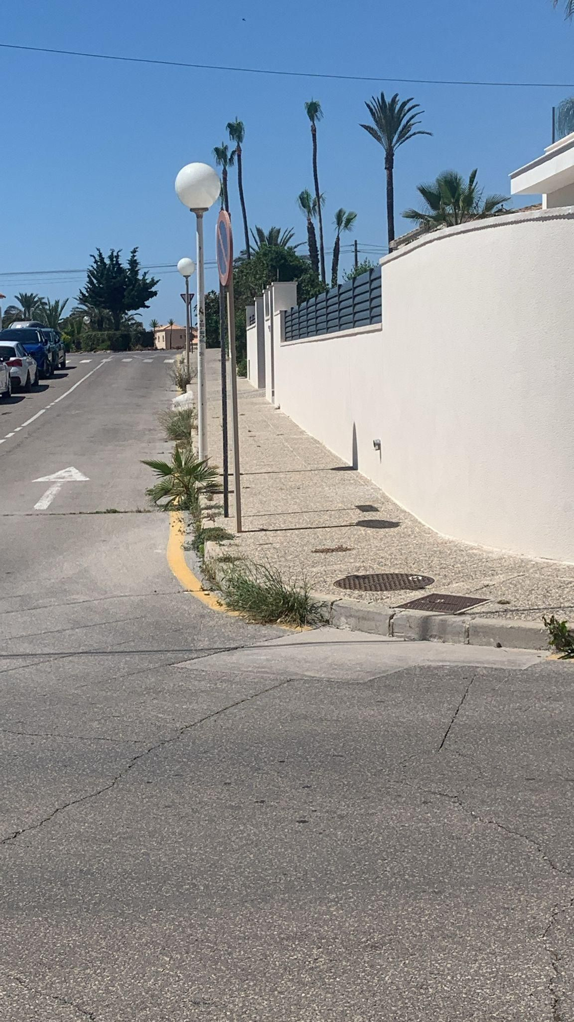 Una jungla sobre el asfalto de Orihuela Costa