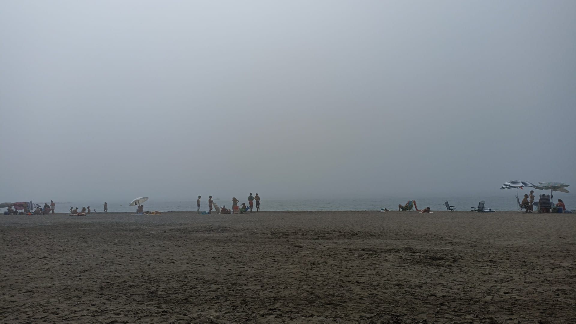 La taró cubre el litoral de Málaga