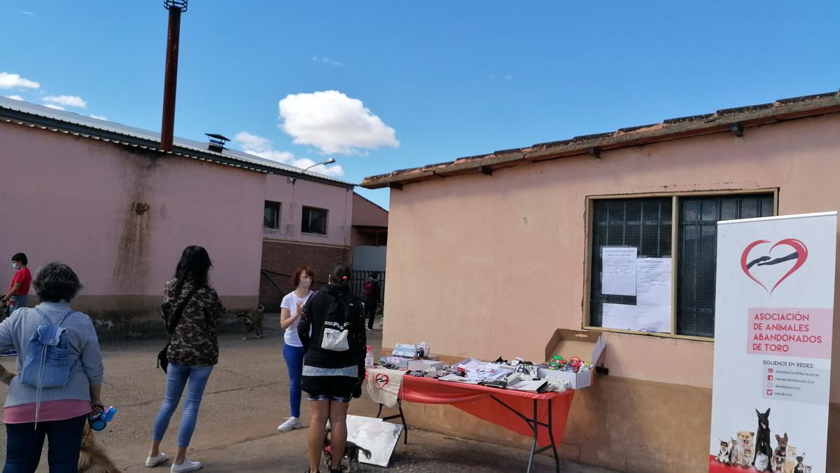 Sede de la asociación de voluntarios que atienden a los animales abandonados de Toro