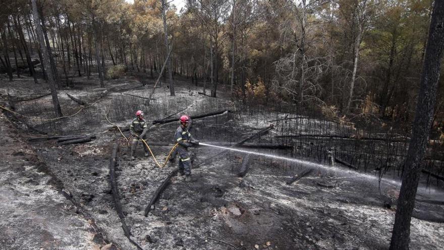 Más prevención, menos fuego